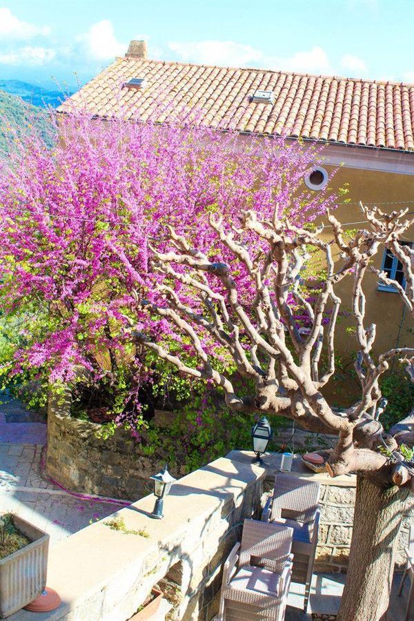 Hotel Restaurant U Santa Maria Olmeto  Exterior photo